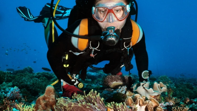 Sharm El Sheikh - Scuba Diving