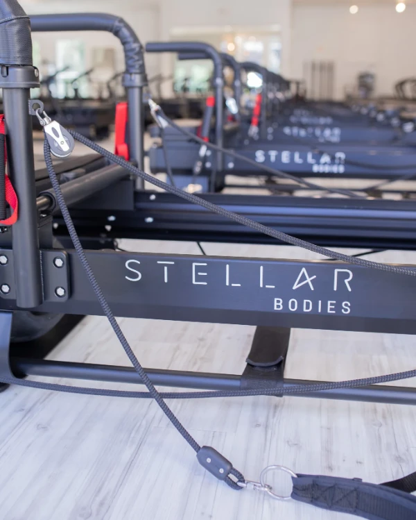 Stellar Bodies