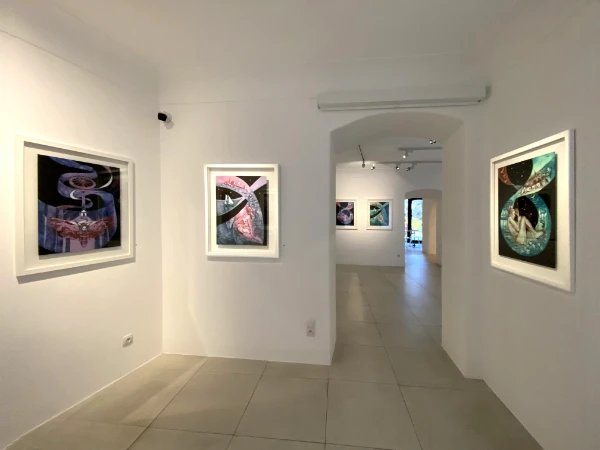 MIRO Gallery