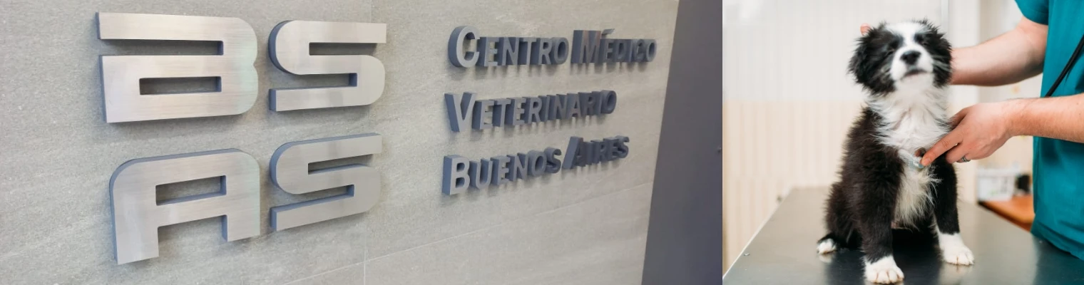 Centro Médico Veterinario Buenos Aires